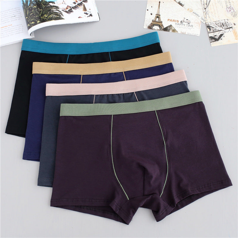 Plus-Size 3D Seamless Cotton Boxer Shorts – Hidden Picks Online