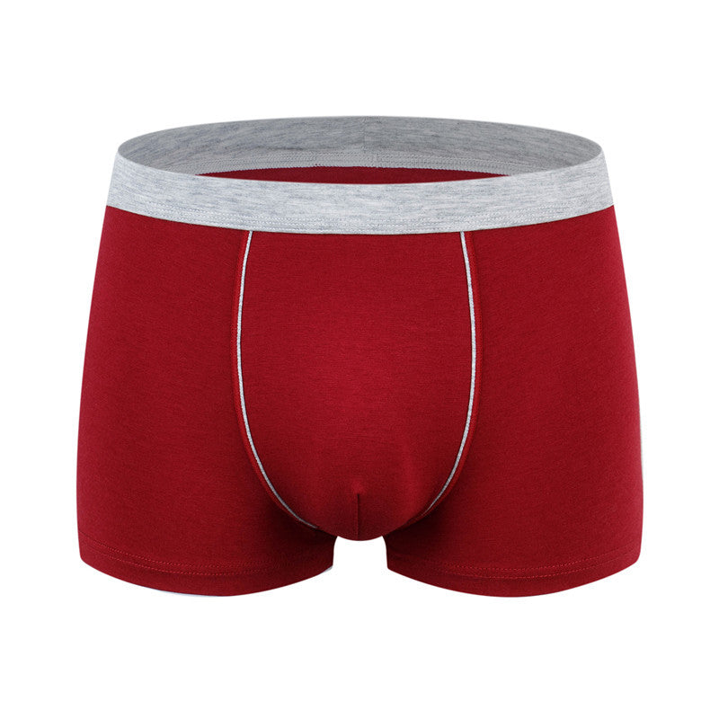 Plus-Size 3D Seamless Cotton Boxer Shorts – Hidden Picks Online