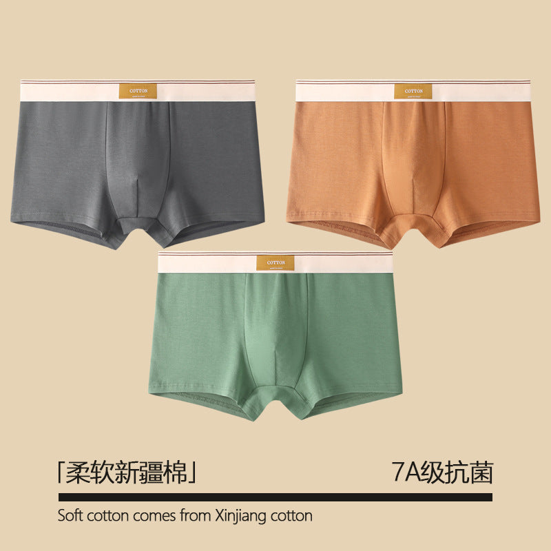 Pure Cotton Antibacterial All-Season Boxer Shorts – Hidden Picks Online