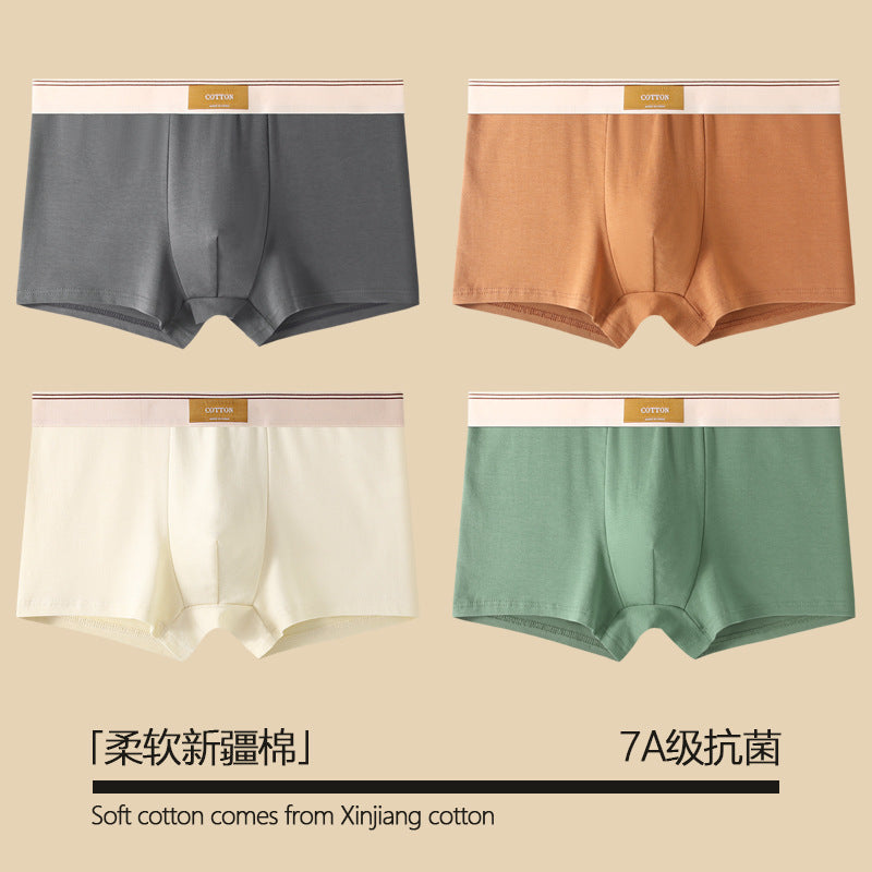 Pure Cotton Antibacterial All-Season Boxer Shorts – Hidden Picks Online