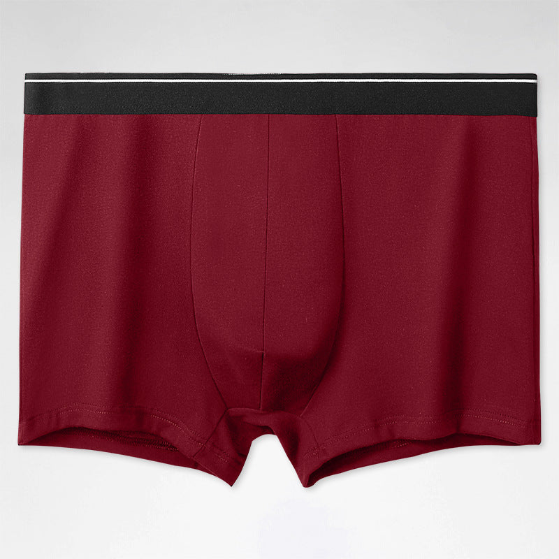 Plus-Size Mid-Waist Cotton Sports Boxer Shorts – Hidden Picks Online
