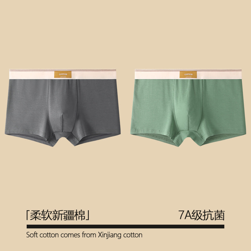 Pure Cotton Antibacterial All-Season Boxer Shorts – Hidden Picks Online