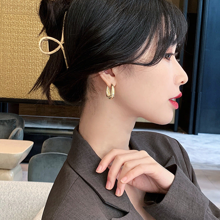 Korean Retro Elegant Earrings 2025 New Trendy Internet Celebrity Simple Cold Style Earrings Women's Ear Jewelry