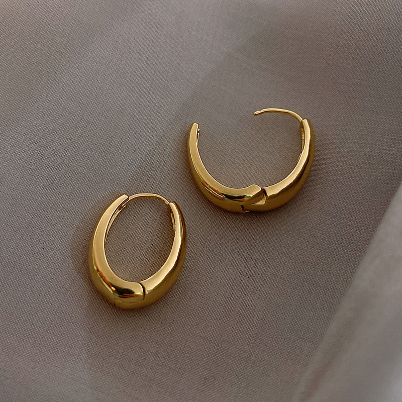 Korean Retro Elegant Earrings 2025 New Trendy Internet Celebrity Simple Cold Style Earrings Women's Ear Jewelry