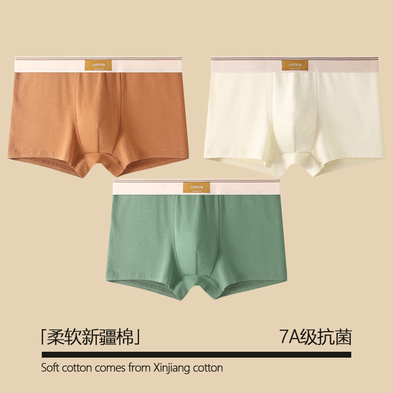 Pure Cotton Antibacterial All-Season Boxer Shorts – Hidden Picks Online
