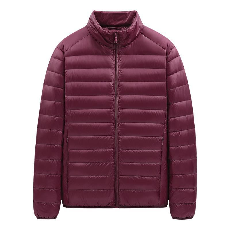 2026 New Men's down Cotton Jacket, Youth Solid Color Cotton Coat, in Stock, Lightweight, Large Size Men's Clothing, One-Piece Drop Shipping