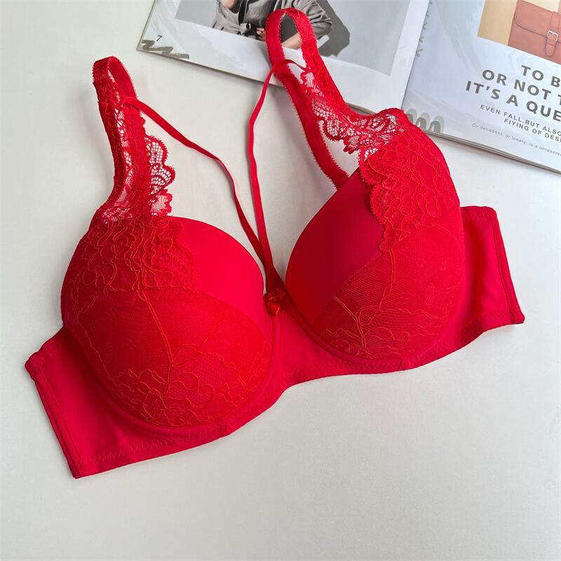 French Lace Push-Up Bra – Plus Size D Cup – Hidden Picks Online