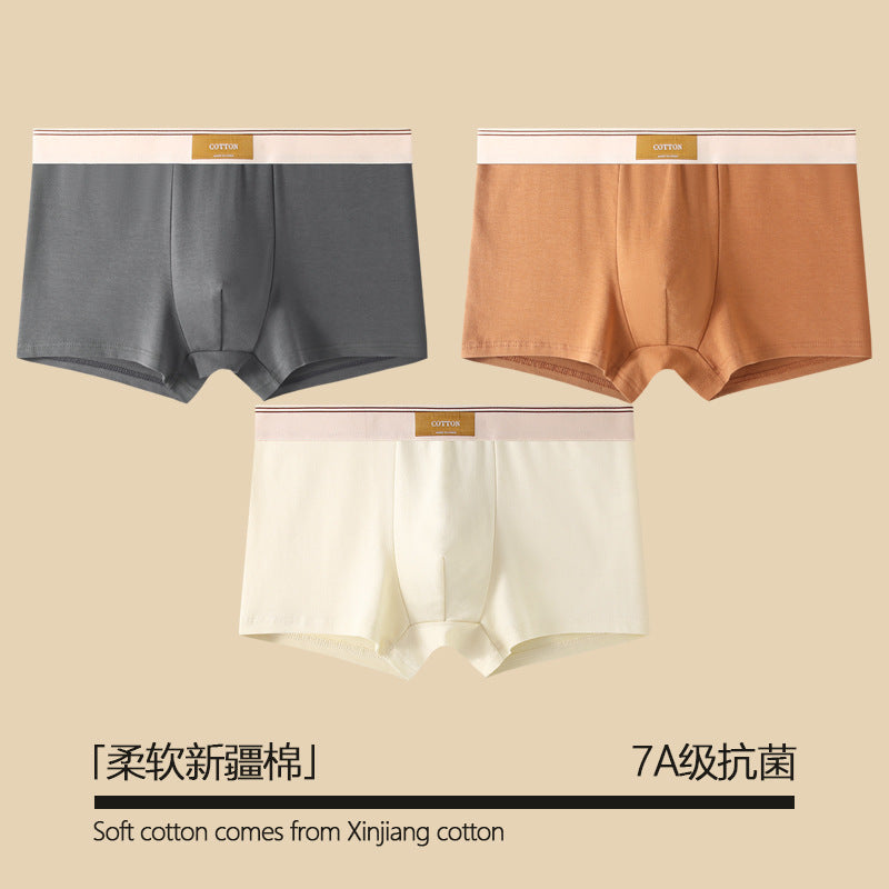 Pure Cotton Antibacterial All-Season Boxer Shorts – Hidden Picks Online